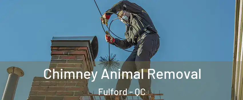  Chimney Animal Removal Fulford - QC