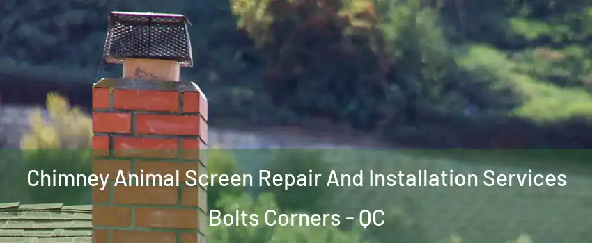  Chimney Animal Screen Repair And Installation Services Bolts Corners - QC