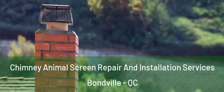  Chimney Animal Screen Repair And Installation Services Bondville - QC
