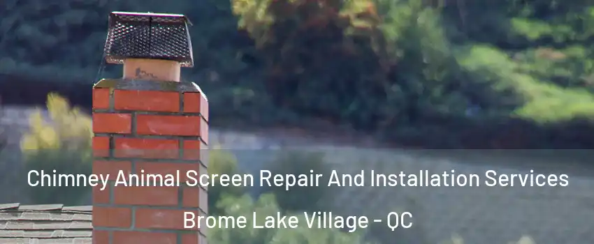  Chimney Animal Screen Repair And Installation Services Brome Lake Village - QC