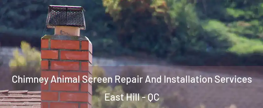 Chimney Animal Screen Repair And Installation Services East Hill - QC