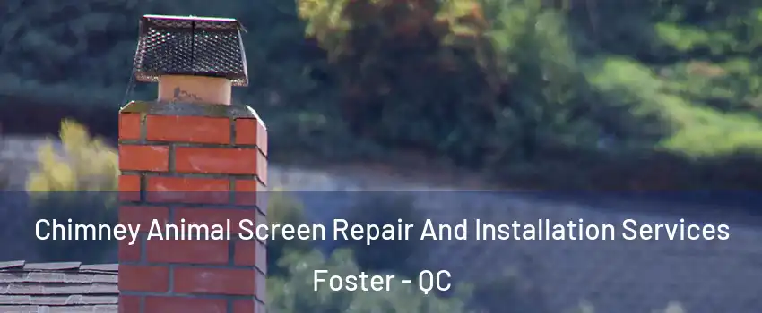  Chimney Animal Screen Repair And Installation Services Foster - QC