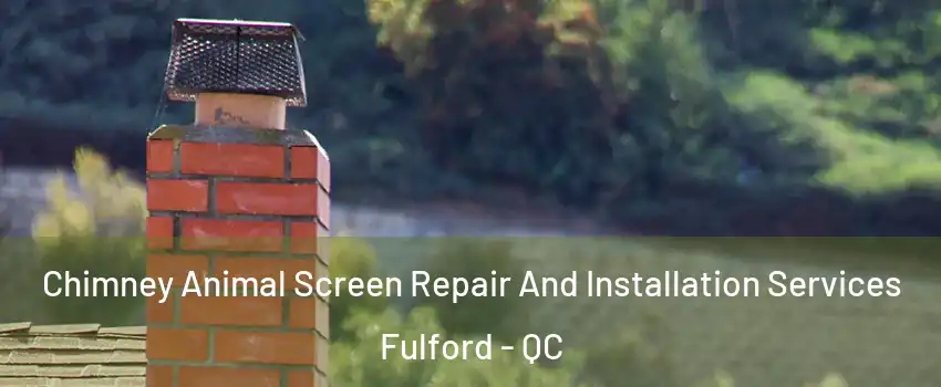 Chimney Animal Screen Repair And Installation Services Fulford - QC