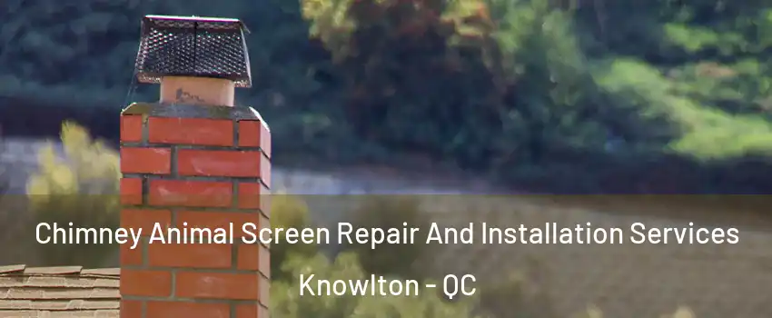  Chimney Animal Screen Repair And Installation Services Knowlton - QC