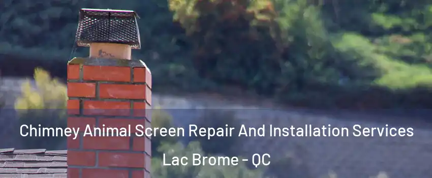  Chimney Animal Screen Repair And Installation Services Lac Brome - QC