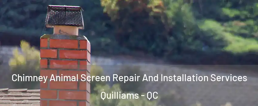  Chimney Animal Screen Repair And Installation Services Quilliams - QC