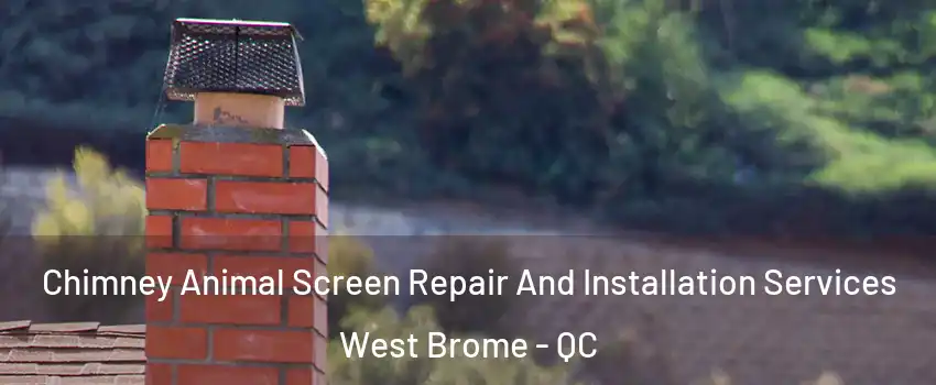  Chimney Animal Screen Repair And Installation Services West Brome - QC