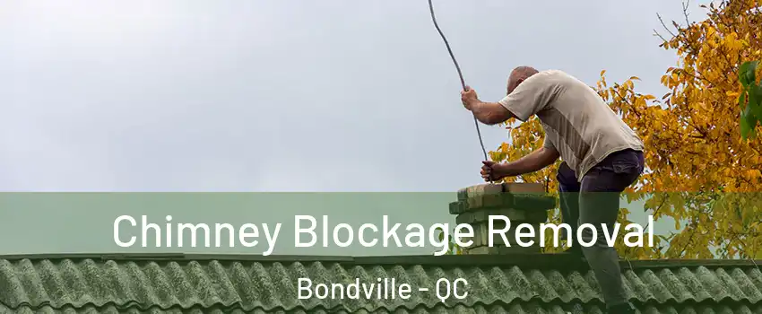  Chimney Blockage Removal Bondville - QC