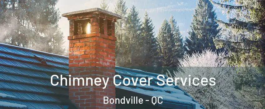  Chimney Cover Services Bondville - QC