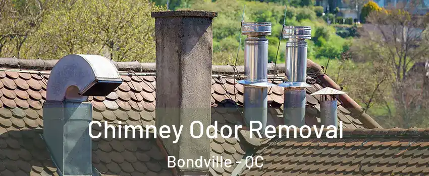  Chimney Odor Removal Bondville - QC