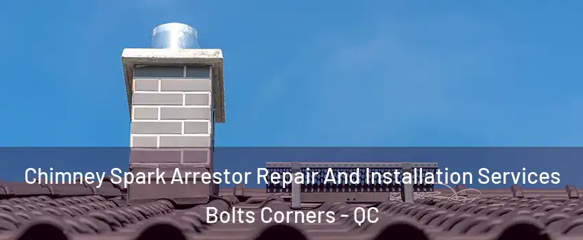  Chimney Spark Arrestor Repair And Installation Services Bolts Corners - QC