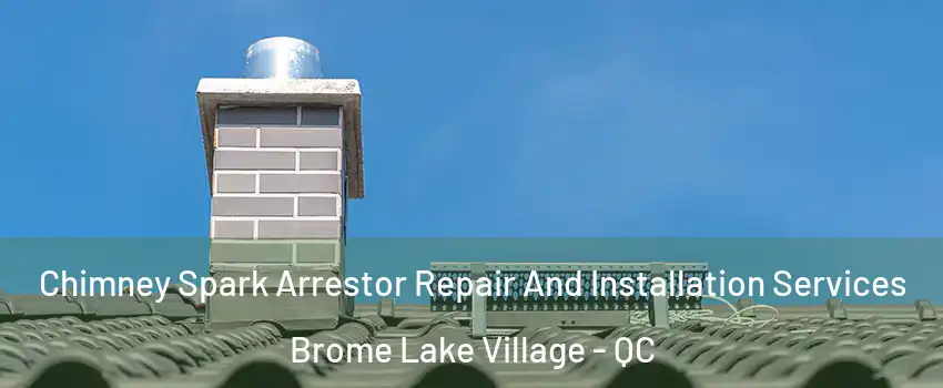  Chimney Spark Arrestor Repair And Installation Services Brome Lake Village - QC