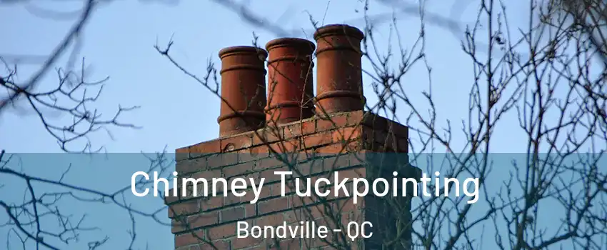  Chimney Tuckpointing Bondville - QC