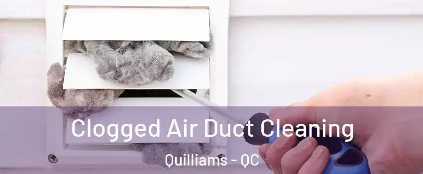  Clogged Air Duct Cleaning Quilliams - QC