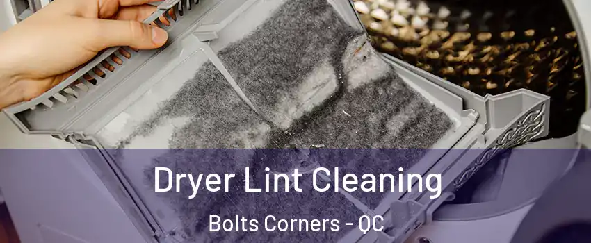  Dryer Lint Cleaning Bolts Corners - QC