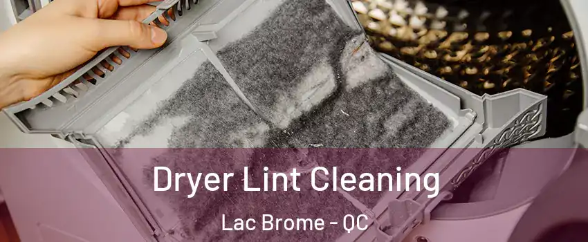  Dryer Lint Cleaning Lac Brome - QC
