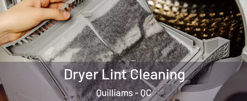  Dryer Lint Cleaning Quilliams - QC