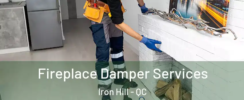  Fireplace Damper Services Iron Hill - QC