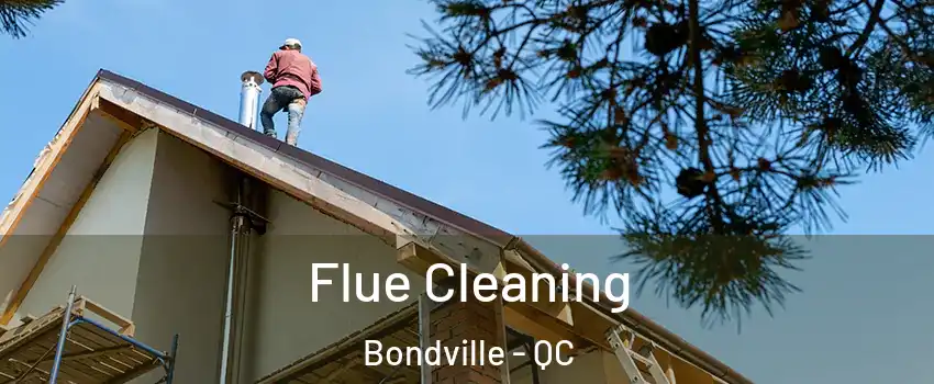  Flue Cleaning Bondville - QC