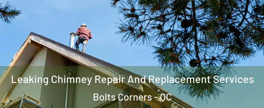  Leaking Chimney Repair And Replacement Services Bolts Corners - QC