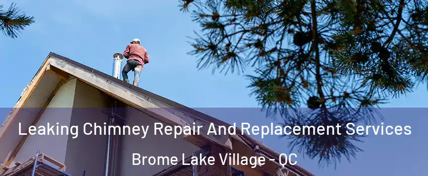  Leaking Chimney Repair And Replacement Services Brome Lake Village - QC
