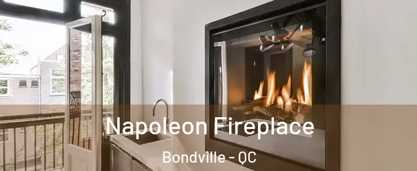  Napoleon Fireplace Bondville - QC