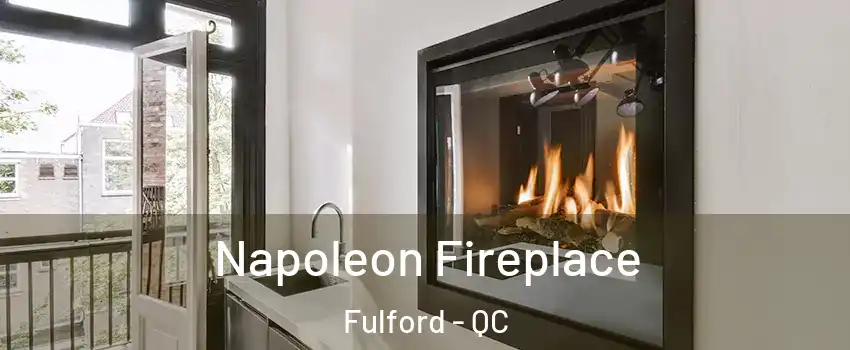  Napoleon Fireplace Fulford - QC